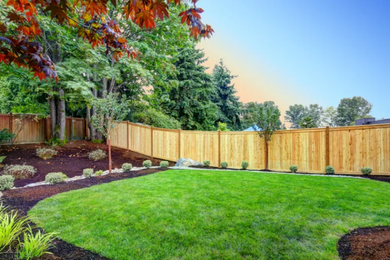 A backyard with green grass, small shrubs along the edges, mulched flower beds, and a wooden privacy fence. Tall trees and clear sky are visible in the background.